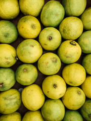 lots of citrus fruits to eat like a background