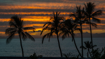 Fototapeta na wymiar Tropical Sunset With Palm Tree Silhouette