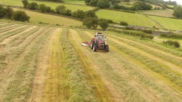 Massey Ferguson 390T rowing grass for silage 