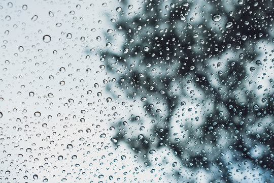Drops of rain on the window; blurred trees in the background