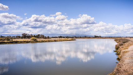 Sunny day on the shoreline of San Francisco Bay; white cumulus clouds reflected on the calm surface...