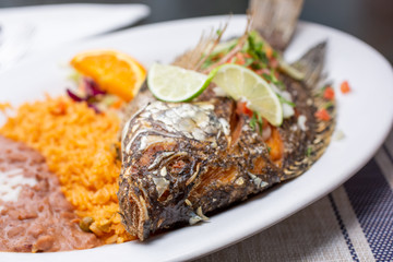 A view of a plate of deep fried tilapia, in a restaurant or kitchen setting.