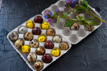 Easter composition of quail eggs and chickens in a cardboard box, decorated with spring flowers.
