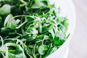 Salade verte mélangée avec mâche mesclun et roquette