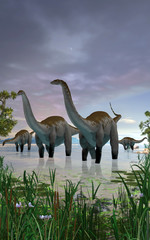 Apatosaurus dinosaur herd in shallow water