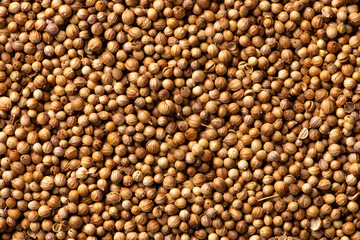 Coriander seeds close up texture background