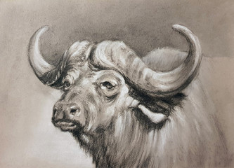 Massive buffalo