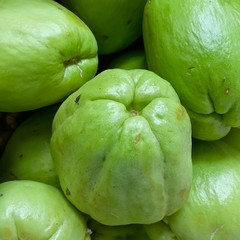 Fresh quinces found in the organic farm in Costa Rica
