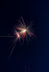 Fototapeta premium Firework backgrounds
