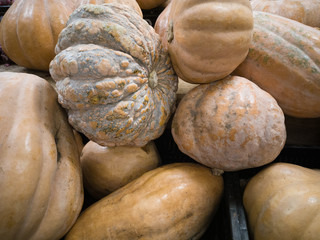 Pumpkin for sale in supermarket