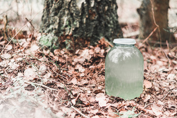 Birch juice in a glass jar. Spring juice collection