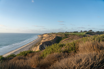 Torrey Pines