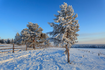 Yakutia, winter