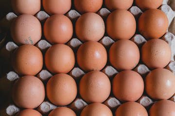 Eggs in carton box on rustic background, bogota colombia, april 4, 2020