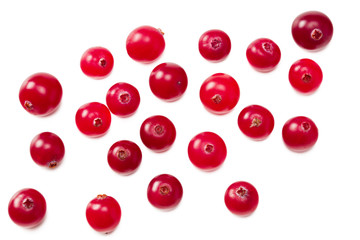 Cranberry isolated on white background. top view