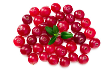 Cranberry with green leaves isolated on white background. top view