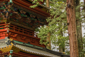 Fototapeta na wymiar Japanese Temple with Tree
