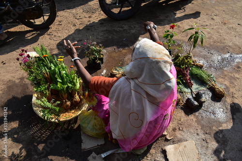 インドの世界遺産のワラーナシー ガンジス川近くの市場 路上で植木を販売するインド人女性 路上に置かれた美しい花や草木 Asia Wall Mural As Koujim30