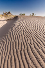 Landscape in the desert in the town of M´Hamid