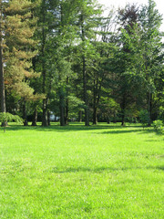 Obraz premium Walking park for people