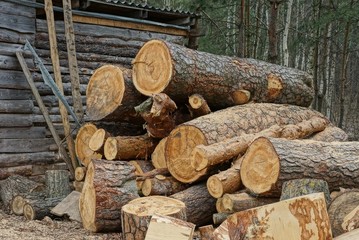 a pile of large brown pine logs against a gray wooden wall in the street