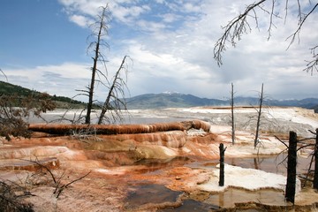 Hot Springs over flow at Yellow Stone National Park