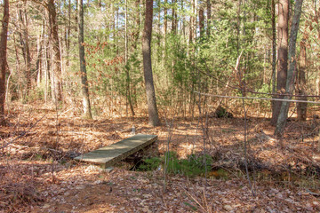 small bridge crossing river in forest on sunny day