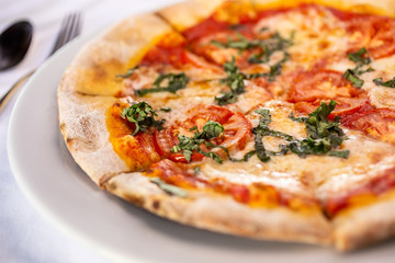 A closeup view of a small margherita pizza pie, in a restaurant or kitchen setting.