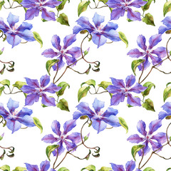 Watercolor seamless pattern with hand painted clematis flowers isolated. Stock illustration. Fabric wallpaper print texture.