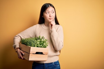 Young asian woman holding wood box of fresh garden natural plants over yellow background serious...