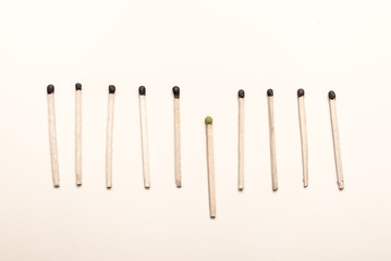 A match with a green sulfur head stands out from the many identical with the black one.  Leadership, uniqueness, independence, initiative, dissent, strategy, special thinking, success.