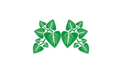 betel leaf, betel logo, betel design, betel design, leaf logo, leaf vector,  