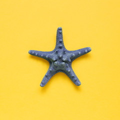 Blue starfish isolated on yellow background. Summer marine decoration. flat lay, top view, copy space