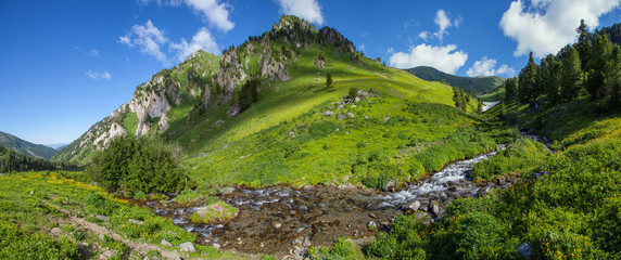 Panoramic view of a mountain valley, summer greens and pure mountain stream