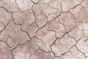 Cracked earth due to lack of water in the municipality of Monforte