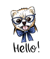 Pomeranian spitz puppy in blue glasses and a bow tie with the inscription hello. For printing postcards, prints for t-shirts, and other designs.