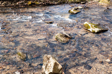 Rocks in a natural stream on a sunny day in Deerfield Township, Warren County, Pennsylvania, USA