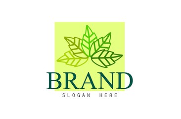  Leaf logo, free hand vector leaf, leaf with frame and brand