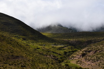 Fototapeta na wymiar Tafi del Valle Tucumán Argentina