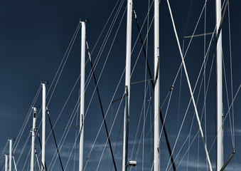 Obraz premium The number of masts of sailboats with the blue sky on a background, a sail regatta, reflection of masts on water, ropes and aluminum, Bright colors