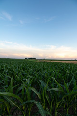 Rural Lasalle county at sunset.  Illinois, USA.