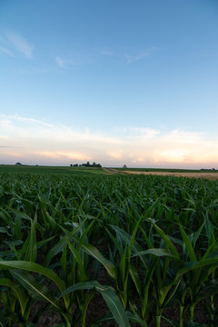 Rural Lasalle County At Sunset.  Illinois, USA.