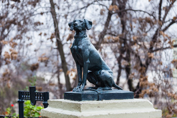 Bronze sculpture as an homage to all the street dogs