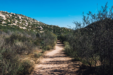 Hiking path upto the mountain surrounded by foliage and blue sky