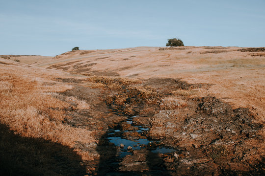 hill and creek and tree landscape
