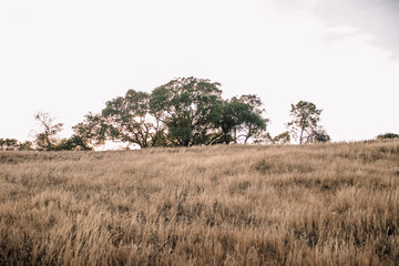 Sunset on the Hill 