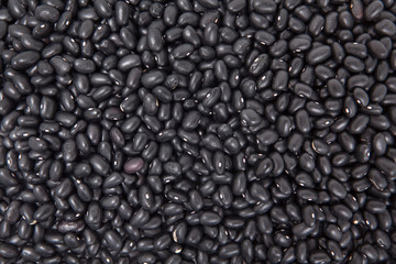 Pile of Black Beans
