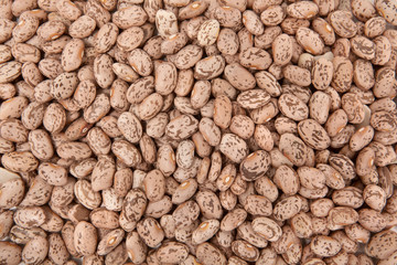 Pile of Pinto Beans
