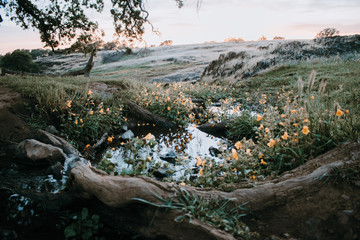 the river in the mountains