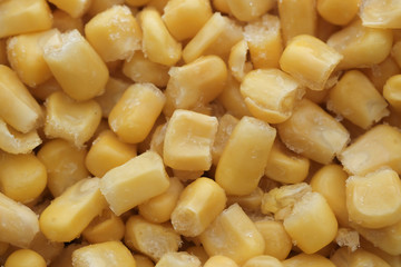 close up of fresh sweet corn in a bowl.
